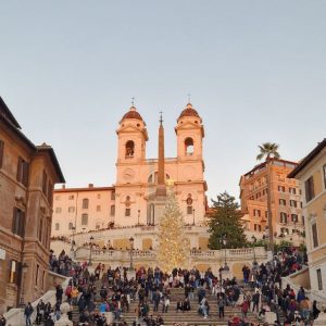 società società